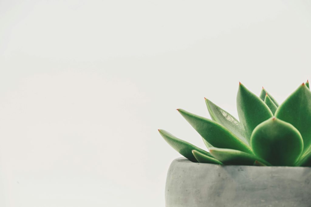 7 Easy Ways to Support Your Energy Naturally